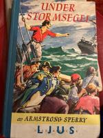 Under stormsegel