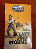 Lugnet f&ouml;re stormen