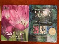 Colchicum - the complete guide