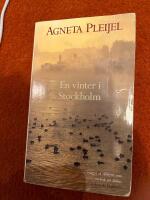 En vinter i Stockholm
