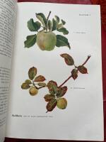 V&auml;xtsjukdomar p&aring; frukttr&auml;d, b&auml;rbuskar, gr&ouml;nsaks- och prydnadsv&auml;xter