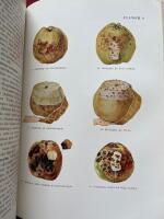 V&auml;xtsjukdomar p&aring; frukttr&auml;d, b&auml;rbuskar, gr&ouml;nsaks- och prydnadsv&auml;xter