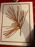 Barrv&auml;xter : [en v&auml;xtatlas &ouml;ver alla de barrv&auml;xter som finns att f&aring; i Sverige med deras egenskaper och krav p&aring; v&auml;xtbetingelser]