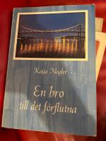 En bro till det f&ouml;rflutna : en dokument&auml;rroman