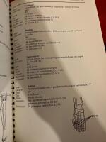 Kompendium i akupunktur och Akupunktur punkthandbok