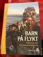 Barn p&aring; flykt : modernt krisst&ouml;d och traumamedvetet m&ouml;te