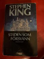 Staden som f&ouml;rsvann