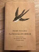 Barndomsbrunnen : en historia om sjukdom och minne i brutna rader