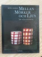 Mellan m&ouml;rker och ljus : Erik H&ouml;glunds 80-tal