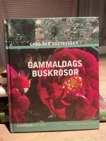 Gammaldags buskrosor