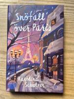 Sn&ouml;fall &ouml;ver Paris