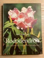 Rododendron : arter, hybrider, samplanteringsv&auml;xter och sk&ouml;tselr&aring;d