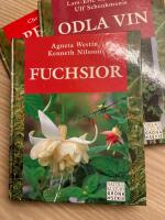 Fuchsior