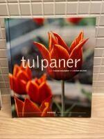 Tulpaner