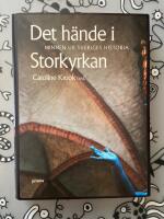 Det h&auml;nde i Storkyrkan : minnen ur Sveriges historia