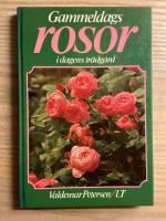 Gammeldags rosor i dagens trädgård