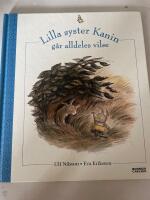 Lilla syster Kanin g&aring;r alldeles vilse