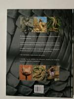 All v&auml;rldens giftormar