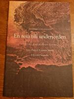 En resa till underjorden : om tre dikter fr&aring;n &Ouml;land : Anna Rydstedt, Lennart Sj&ouml;gren, Erik Johan Stagnelius