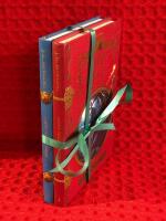 Bokpaket: Till Harry Potter-fantasten 