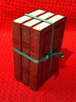 Bokpaket: 3 st av Gogol, Kropotkin & Pusjkin
