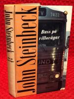 Buss p&aring; villov&auml;gar