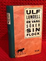 En varg s&ouml;ker sin flock
