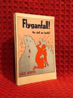 Flyganfall - hur skall jag handla?