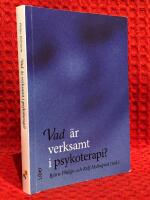 Vad &auml;r verksamt i psykoterapi?
