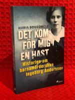 Det kom f&ouml;r mig i en hast : historien om barnam&ouml;rderskan Ingeborg Andersson