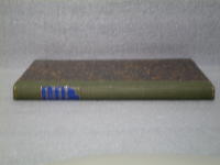 Bottenvikens finska deltan