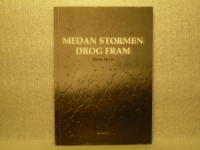 Medan stormen drog fram