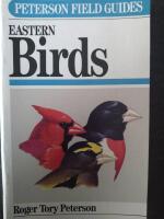 Eastern birds