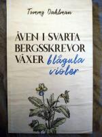 &Auml;ven i svarta bergsskrevor v&auml;xer bl&aring;gula violer