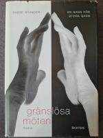 Gr&auml;nsl&ouml;sa m&ouml;ten En saga f&ouml;r stora barn