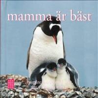 Mamma &auml;r b&auml;st : inspirerande ord om att vara mamma