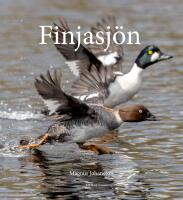 Finjasj&ouml;n