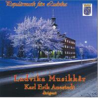 Popul&auml;rmusik fr&aring;n Ludvika