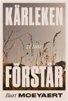 K&auml;rleken vi inte f&ouml;rst&aring;r