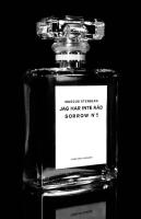 Jag har inte r&aring;d : Sorrow nr 5