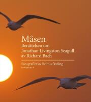 M&aring;sen : ber&auml;ttelsen om Jonathan Livingston Seagull