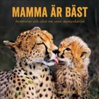 Mamma &auml;r b&auml;st : ber&auml;ttelser och citat om sann modersk&auml;rlek