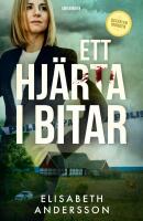 Ett hj&auml;rta i bitar