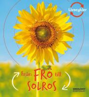 Fr&aring;n fr&ouml; till solros
