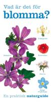 Vad &auml;r det f&ouml;r blomma?