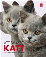 Att bli med katt