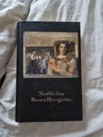 Noveller fr&aring;n Bosnien-Hercegovina