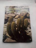 Allt om krukv&auml;xter