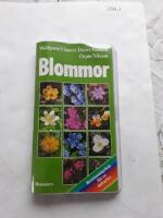 Blommor