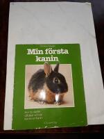 Min f&ouml;rsta kanin - hur du sk&ouml;ter, utfodrar och l&auml;r k&auml;nna en kanin
